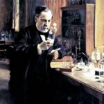 140 éve ment életeket: a veszettség elleni oltás története