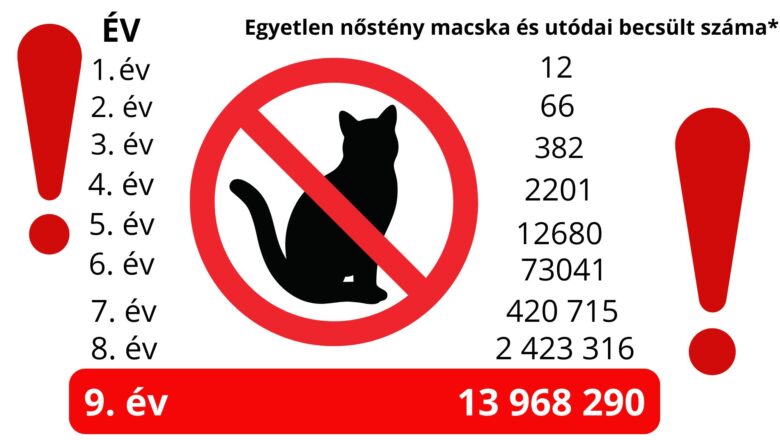 Miért fontos az ivartalanítás? – Felelős gazdiként a jövőért