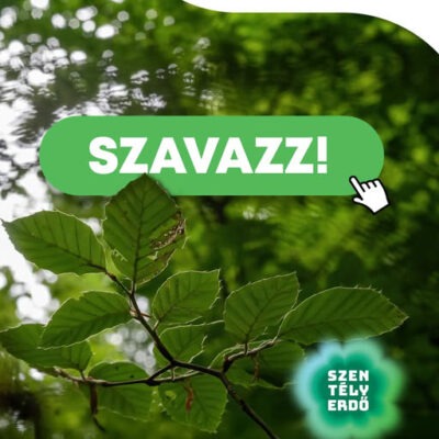 Keressük az Év Szentélyerdejét – Szavazz, és segíts megőrizni élő örökségünket!